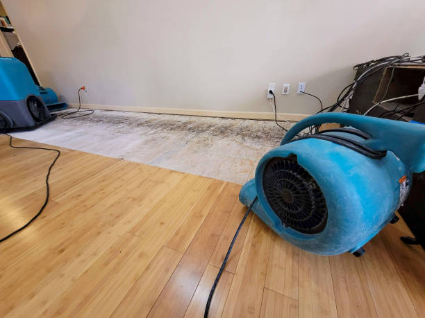 Professional Burst Pipe Water Damage technician working in Little River, SC